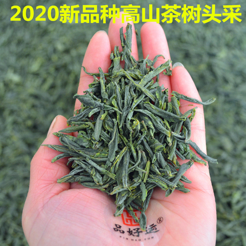 2020 Tea Product newly picked and processed tea leaves Super Alpine 804 Bat Cave Area Hills Pick tea Green Tea 500gin the Tea , Green tea (New) , Tea Product  category - from Buy2taobao.com to provide professional Taobao agent buy service