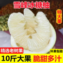 湖南雪峰冰糖柚新鲜怀化安江老树小苦柚药柚子白心金兰柚带箱10斤