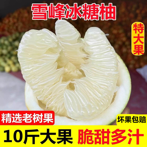 湖南雪峰冰糖柚新鲜怀化安江老树小苦柚药柚子白心金兰柚带箱10斤