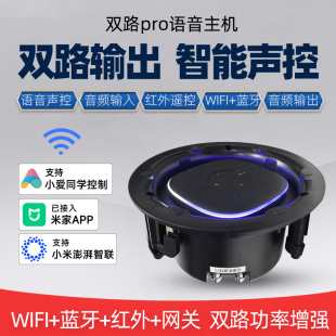 双路PRO智能吸顶音响全屋声控定制小爱同学语音控制智能家居音箱