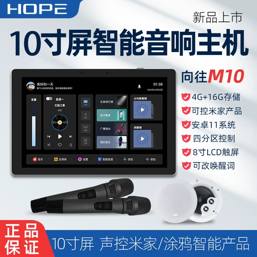 Hope Agnn для M10 Smart Home Set 10 -INCH FOOL MUSIC CONSOLE CONSOLE для управления потолком аудио