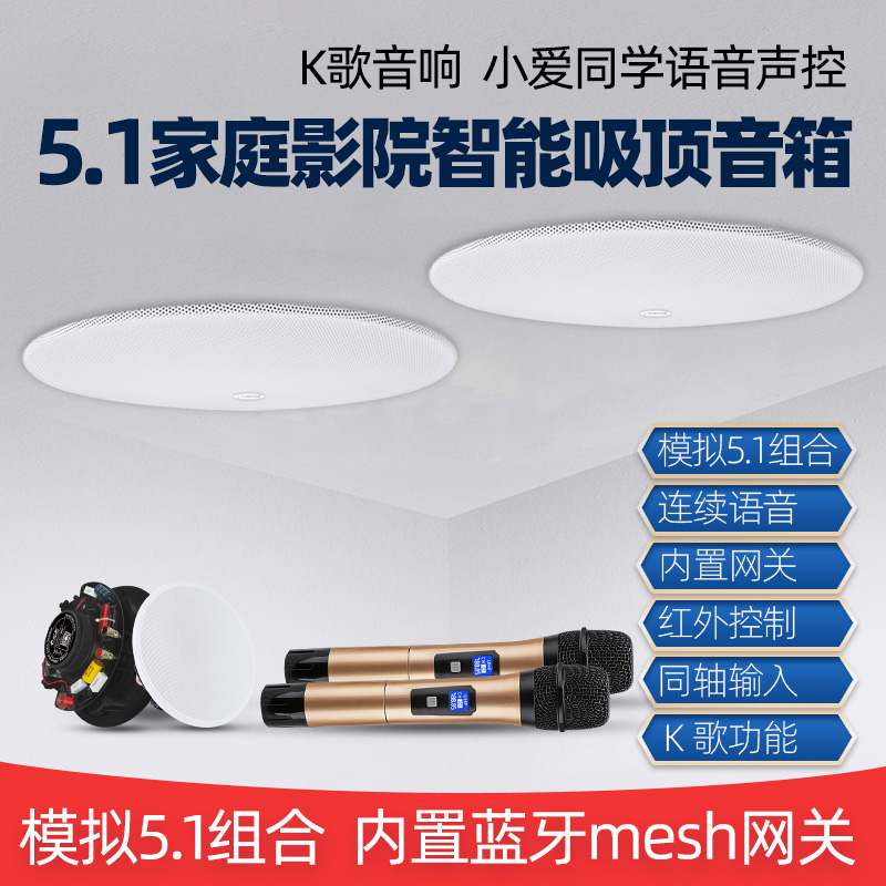 定制模拟5.1家庭影院智能吸顶音响语音声控家居K歌小爱同学控制