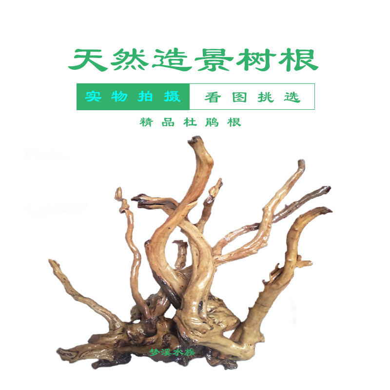 杜鹃根沉木鱼缸造景南美鱼缸装饰
