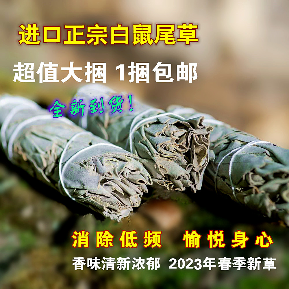 清新浓郁白鼠尾草美国小众香氛