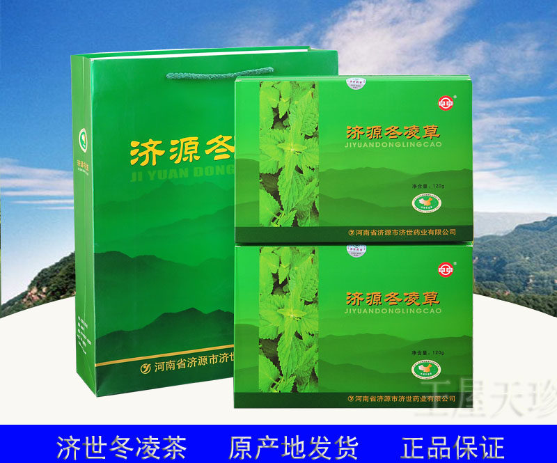 王屋山特产济源济世冬凌草茶包240袋野生冬凌草言清茶咽喉茶