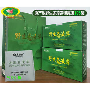 济源冬凌草茶天坛山冬凌茶嗓子茶咽喉茶袋泡茶 198袋