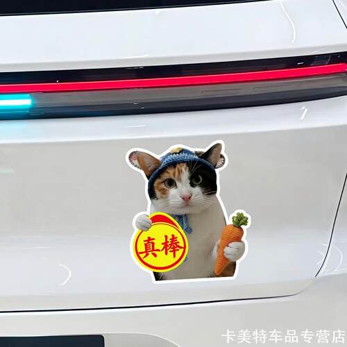 适用福特福克斯蒙迪欧萝卜纸巾猫车贴meme表情包创意新手实习贴