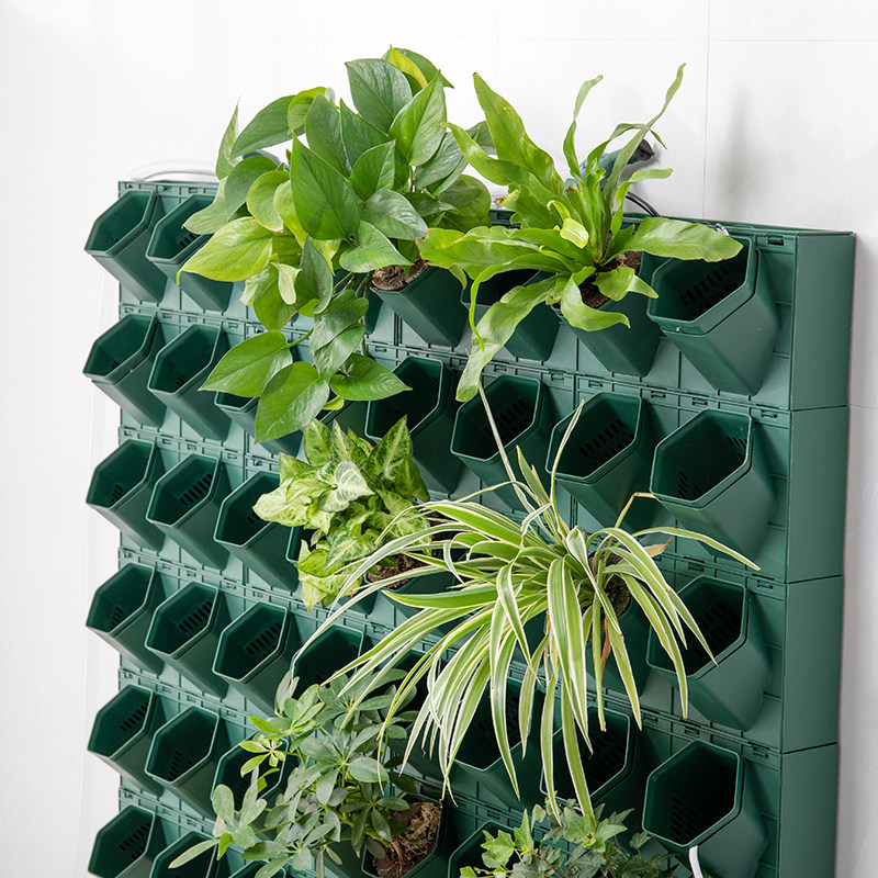 M120蜂巢种植盒单孔直径12cm真绿植植物墙立体种植箱种植架绿植墙