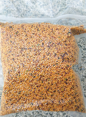 200g分装干芥末籽粒凉拌凉粉佐料热狗传统芥末调料Mustard seed