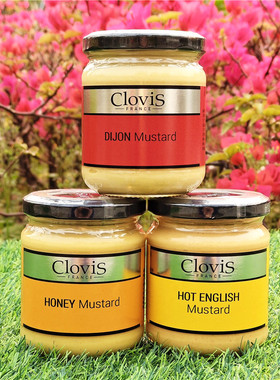 法国芥末酱高洛英式辣芥末调味酱寿司料理CLOVIS ENGLISH MUSTARD