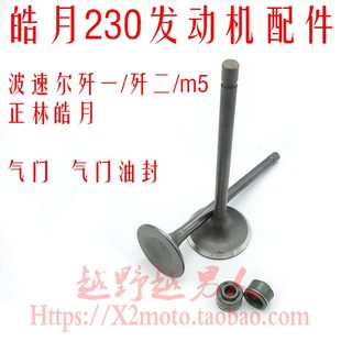 波速尔歼一 歼二 M5 正林皓月230发动机气门 进排气门 气门油封