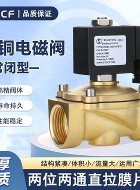 2WS1电磁阀AC220VDC24V黄铜进水DN15DN20DN25阀门防水线圈阀门