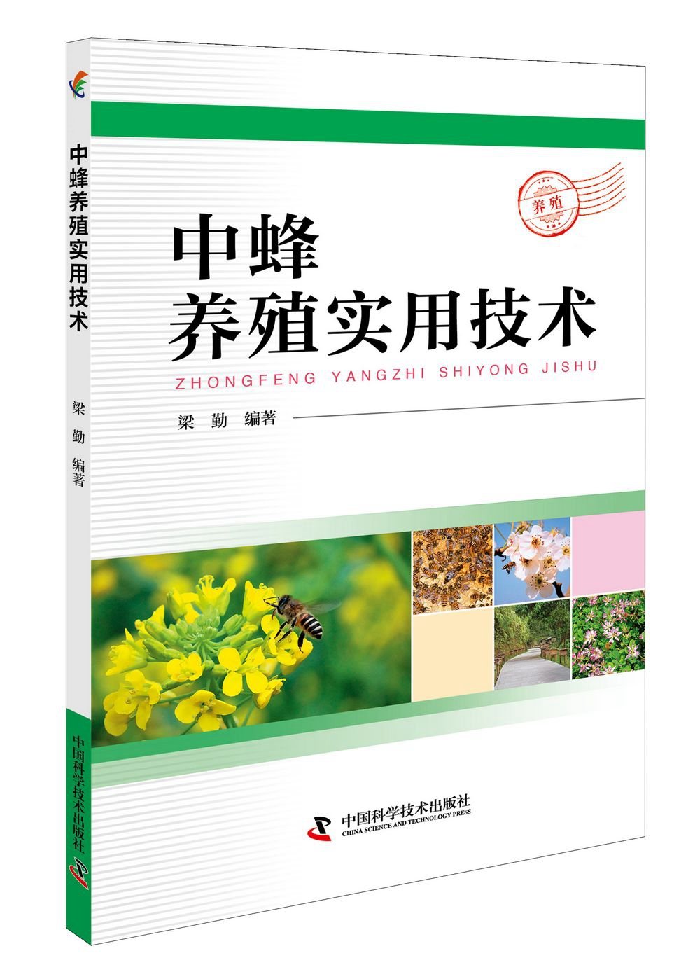 中蜂养殖实用技术 梁勤主编  中华蜜蜂养殖饲养技术 蜜蜂养殖技术 9787504676290
