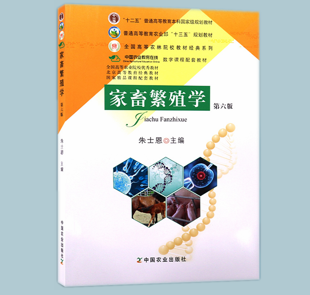 内容精炼 图文并茂