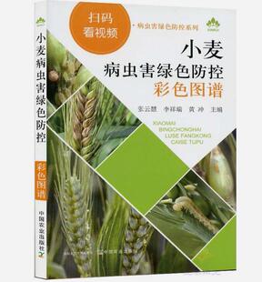 小麦病虫害绿色防控彩色图谱 9787109261488 张云慧,李祥瑞,黄冲 农业 林业 农业基础科学 中国农业出版社