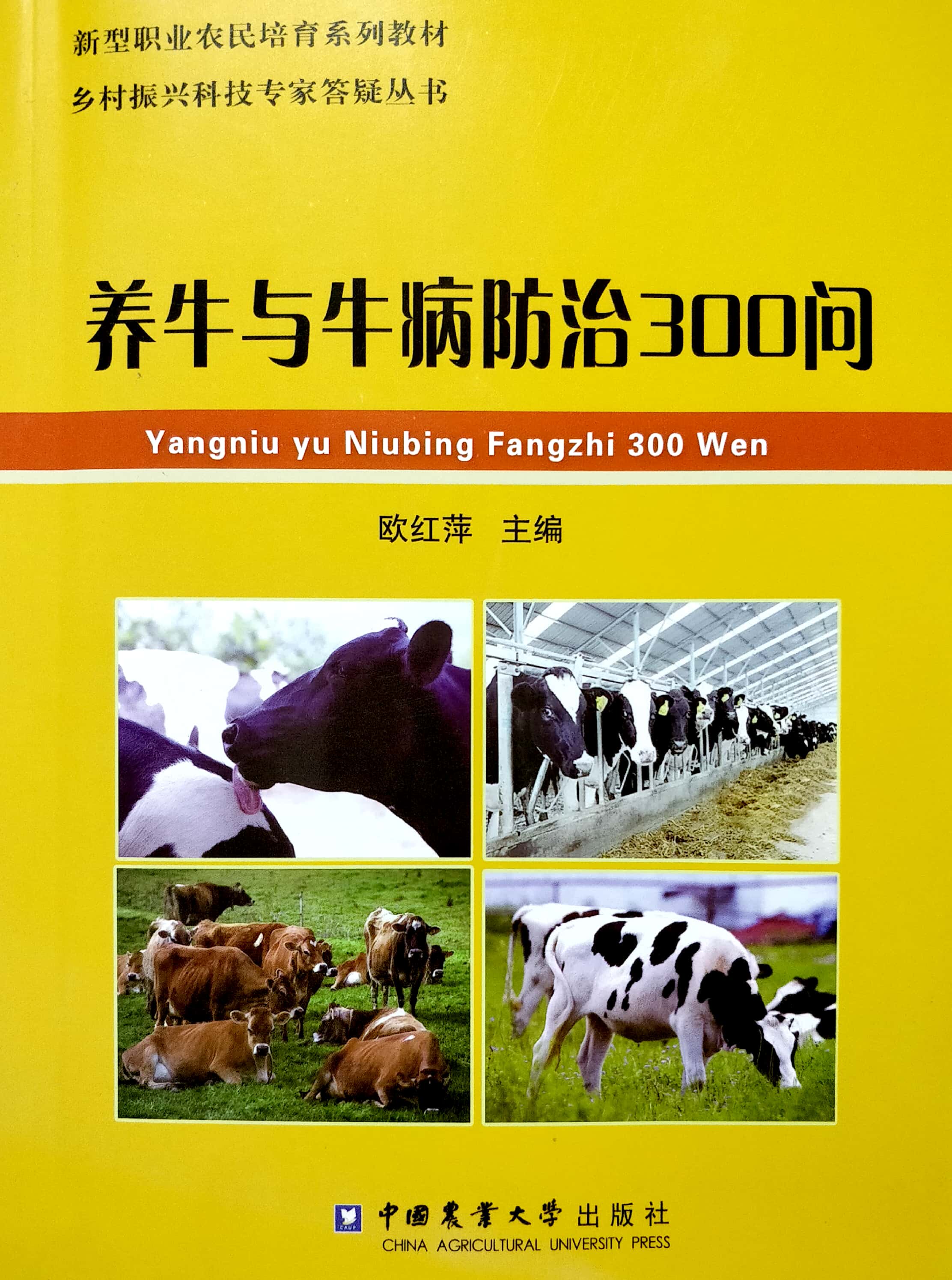 养牛与牛病防治300问  欧红萍主编  9787565520990