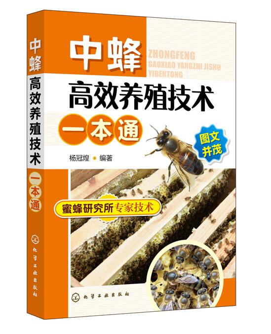 中蜂高效养殖技术一本通 9787122342348 中蜂高效养殖技术大全实用养蜂技术养中华蜂大全书籍 养蜂书中华蜂土蜂中蜂饲养新技术