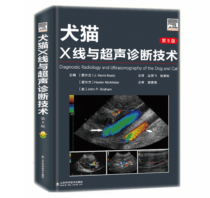 超声诊断X线技术全新正版