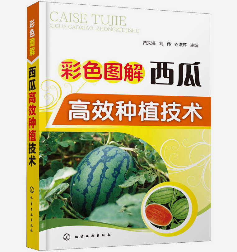 彩色图解西瓜高效种植技术 9787122357830大棚西瓜种植书籍 棚室西瓜高效栽培 西瓜栽培模式育苗技术露地栽培覆盖栽培间作套种