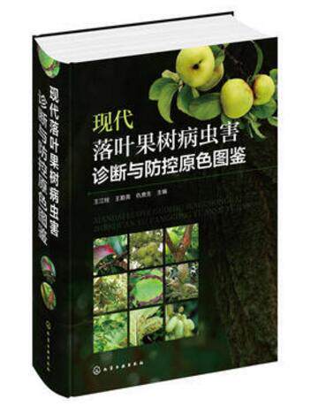 现代落叶果树病虫害诊断与防控原色图鉴 王江柱编 北方果树病虫害诊断鉴别图谱 苹果梨桃李山楂杏樱桃葡萄核桃板栗柿枣石榴草蓝莓