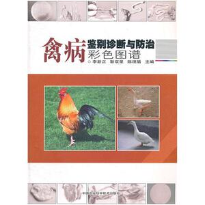 禽病鉴别诊断与防治彩色图谱  李新正等主编 禽病类症鉴别诊断诊治图鉴 9787511606440