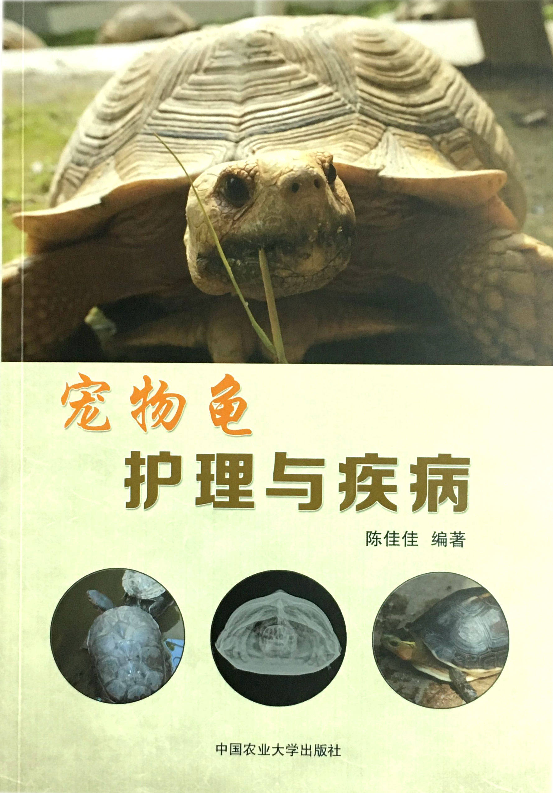 宠物龟护理与疾病  9787565517013  陈佳佳 编著  宠物龟护理  宠物龟疾病防治 龟病防治诊治,书籍/杂志/报纸,畜牧/养殖,淘宝优惠券,粉丝福利购,淘宝优惠卷