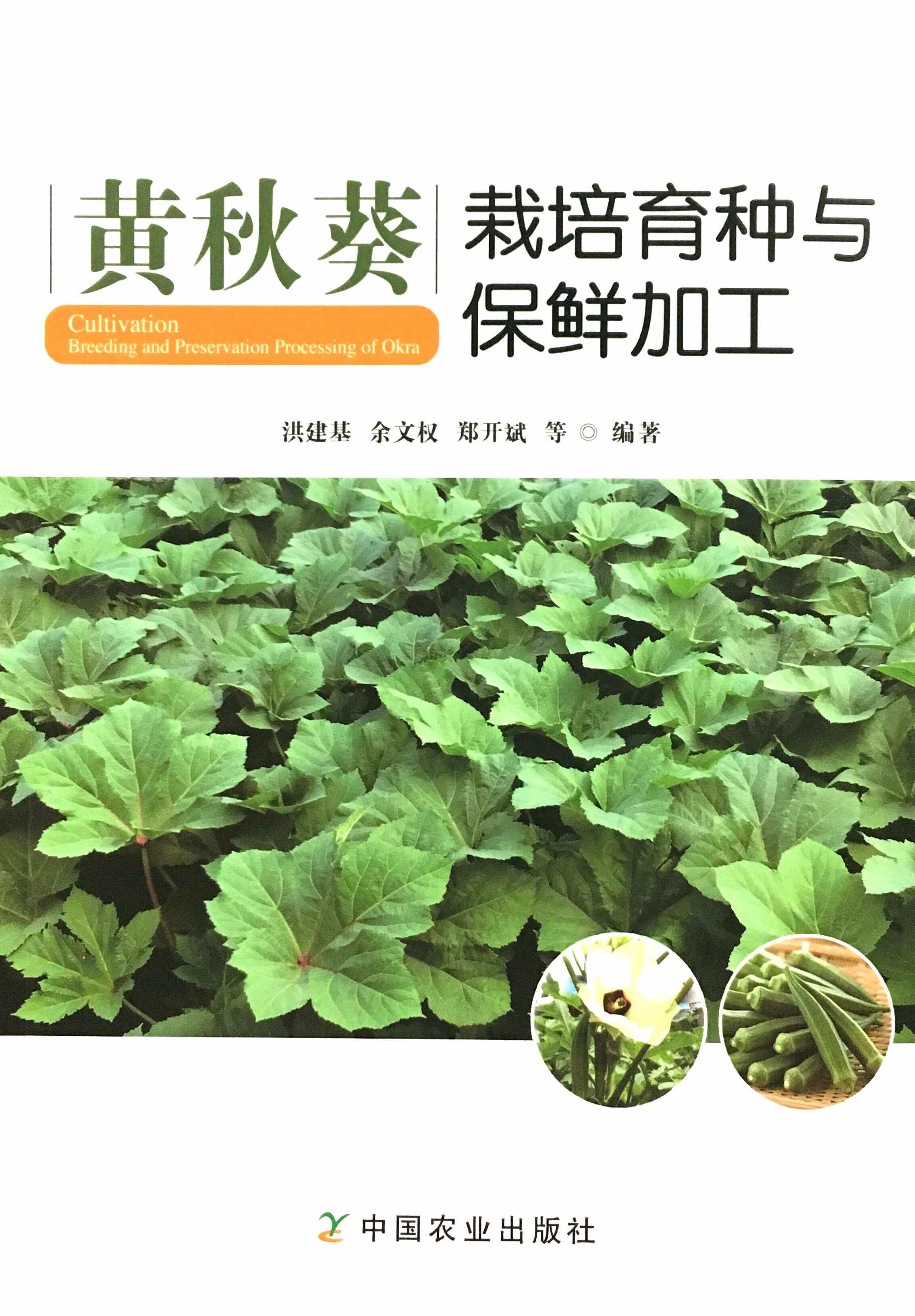 黄秋葵栽培育种与保鲜加工 洪建基  等编著  黄秋葵栽培书籍 秋葵种植书籍9787109156944