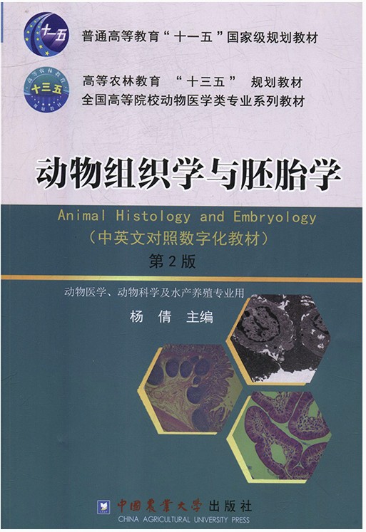 动物组织学与胚胎学 9787565519598  杨倩主编 中国农业大学出版社