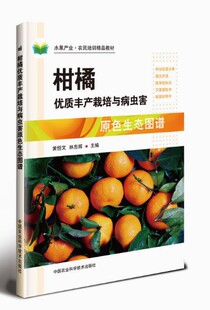 中国农业科学技术出版 柑橘优质丰产栽培与病虫害原色生态图谱 柑橘种植与病虫害防治技术 林忠辉主编 社 9787511637154黄恒文