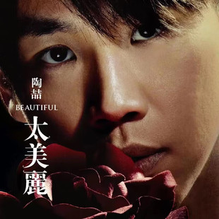 官方正版唱片 陶喆 太美丽 专辑CD+歌词本再版