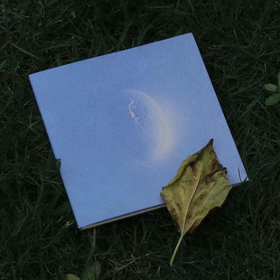 2021专辑 海龟先生乐队 死不回头 摩登天空 正版 歌词本 唱片