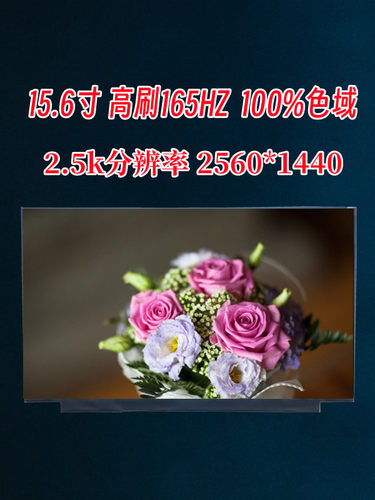 外星人15.6寸高刷液晶屏批发价