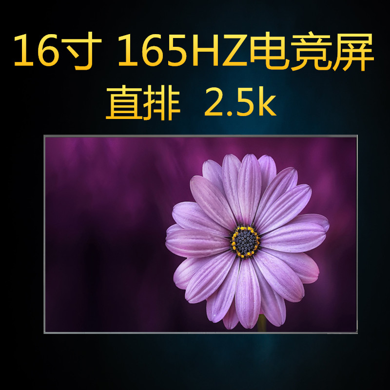 165HZ2.5K高清液晶显示屏幕