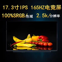 外星人Alienware M17 R5/R4/R3/R2 X17 R2/R1 Area-51M 液晶屏幕