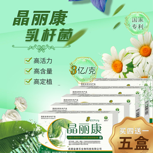 私处洗液以菌治菌菌群紊乱晶丽康益生菌乳杆菌活菌定菌生阴道5盒