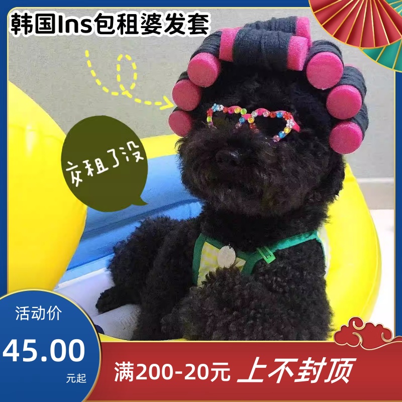 韩国INS宠物变身装帽子狗狗猫咪包租婆卷发头套搞笑拍照道具装饰-封面