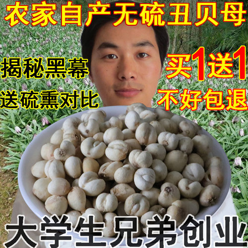 无硫熏川贝买1送1共100克川贝母