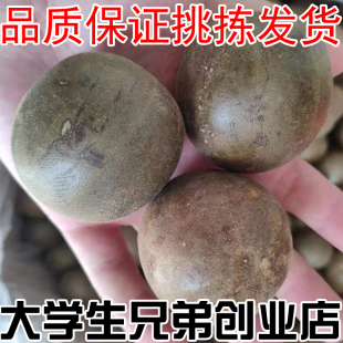 罗汉果干果广西特产桂林罗汉果茶可搭胖大海金银花泡花茶散装 大果