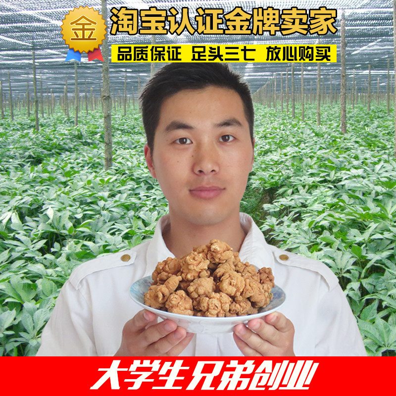 云南文山春三七30头20头三七头田七500g可免费代磨三七粉真品包邮