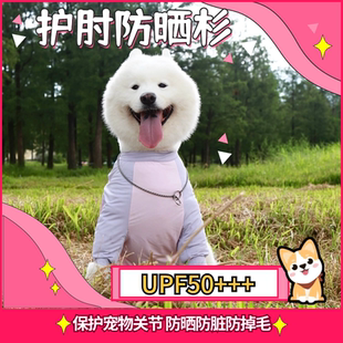 宠物大狗防晒护肘服冰丝防掉毛萨摩耶金毛边牧阿拉斯加大狗衣服