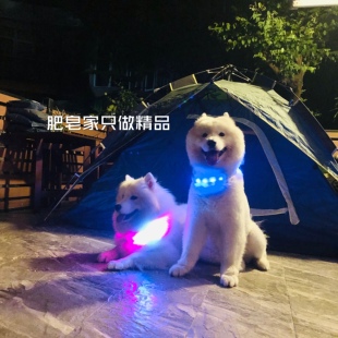 肥皂 LED狗项圈宠物亮灯变色发光充电夜间中大型犬防走失 日记
