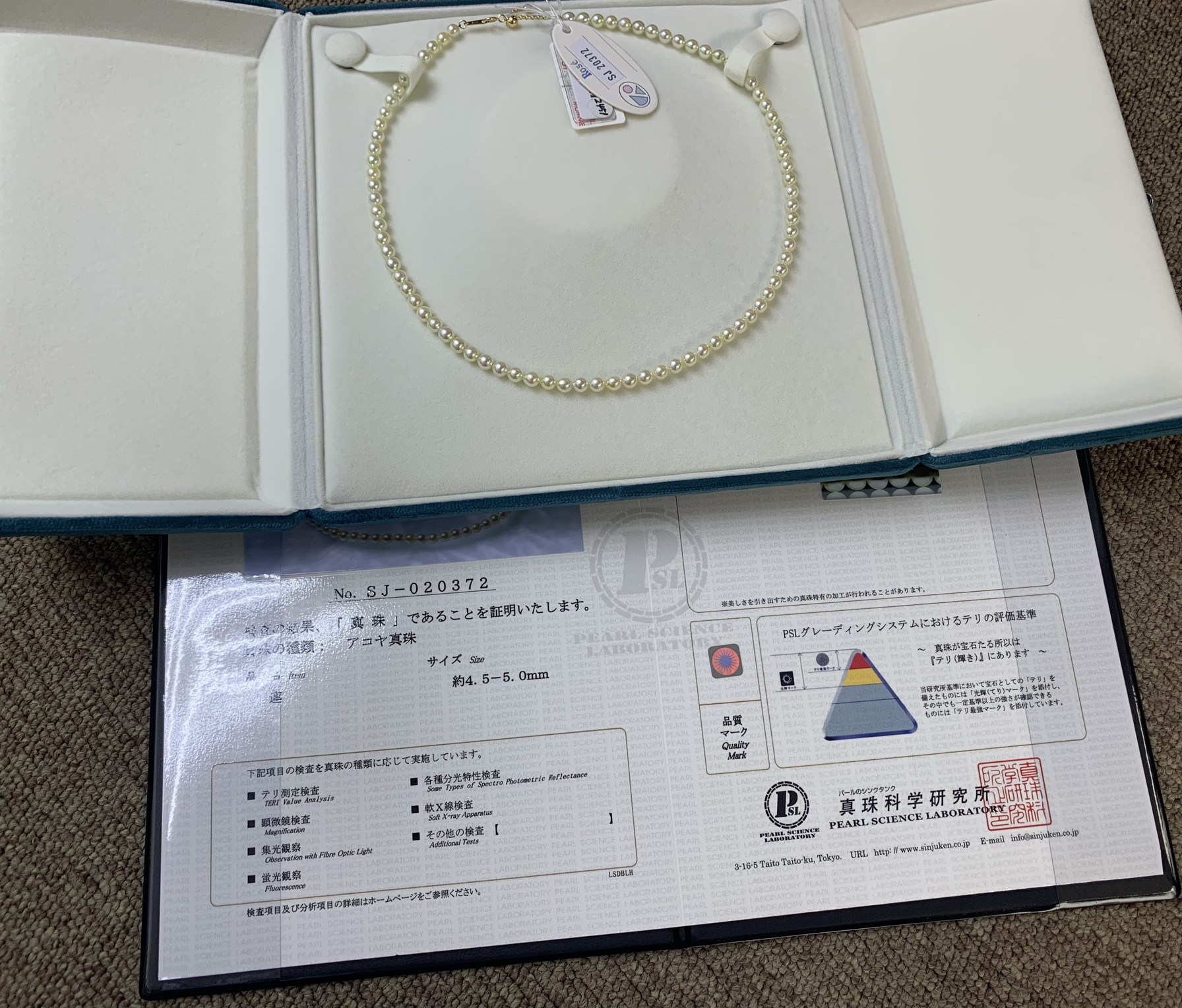 Rose天然香槟金akoya项链近圆微微瑕疵18k金延长链羽皇金色