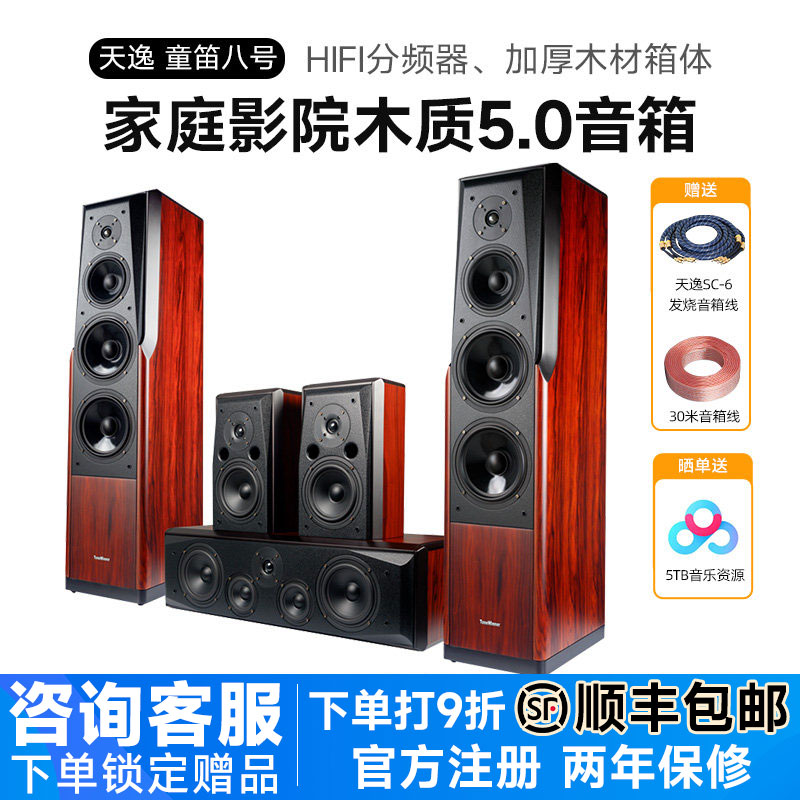 Winner/天逸 童笛八号 TD-8家庭影院音响套5.0装高保真落地木音箱