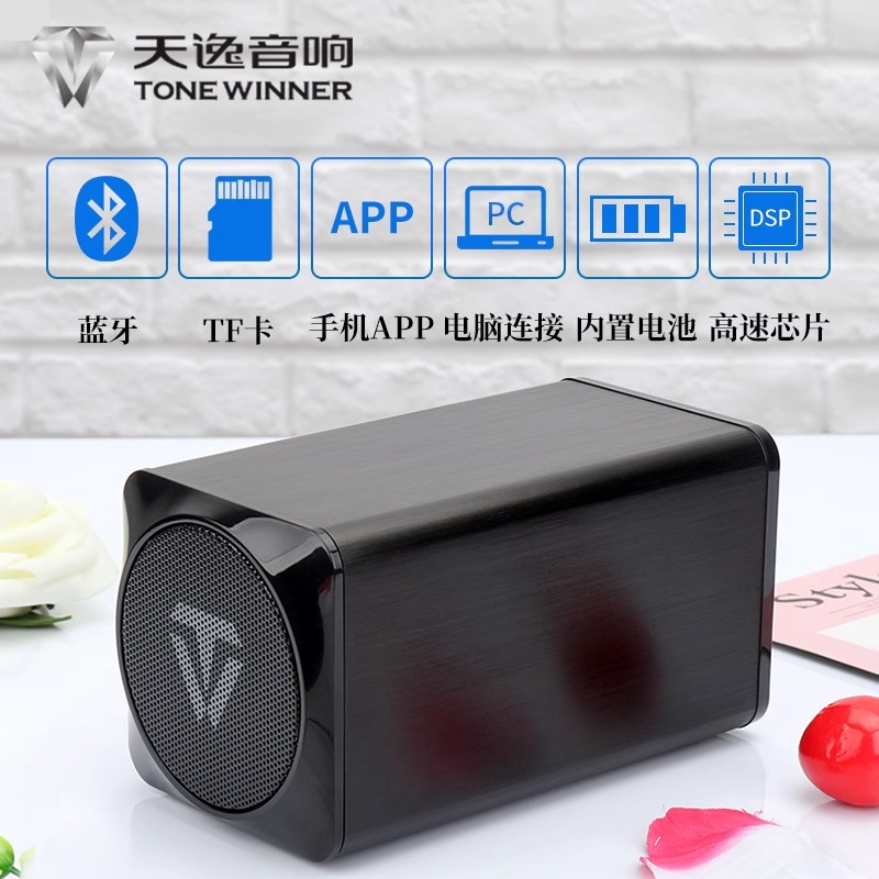 【特价清】Winner/天逸 TY-B04无线蓝牙音箱便携式电脑手机小音响