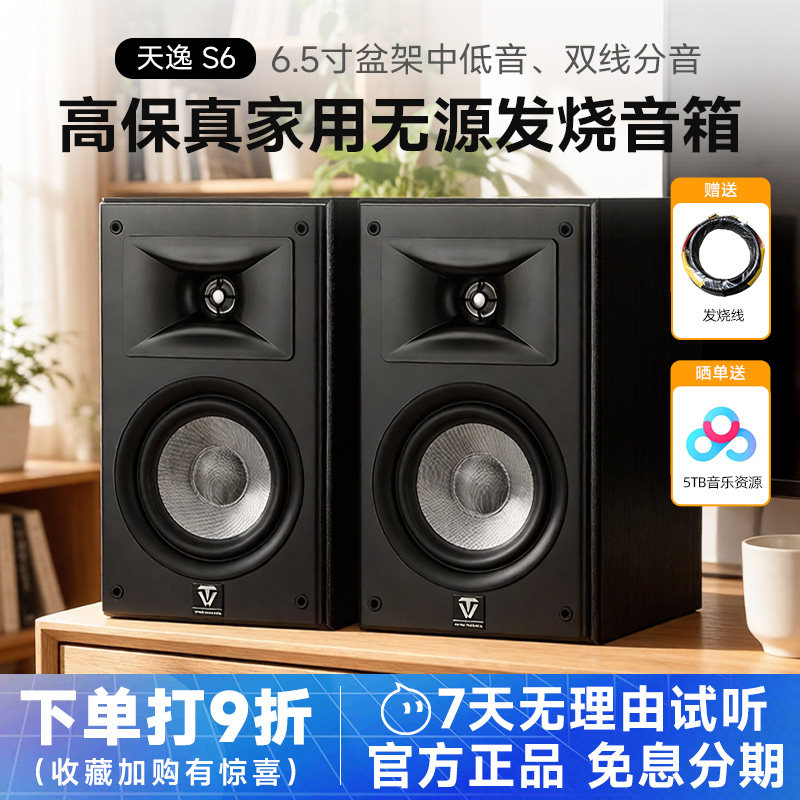Winner/天逸 童笛S6发烧级6.5寸HIFI桌面无源音箱高保真家用音响