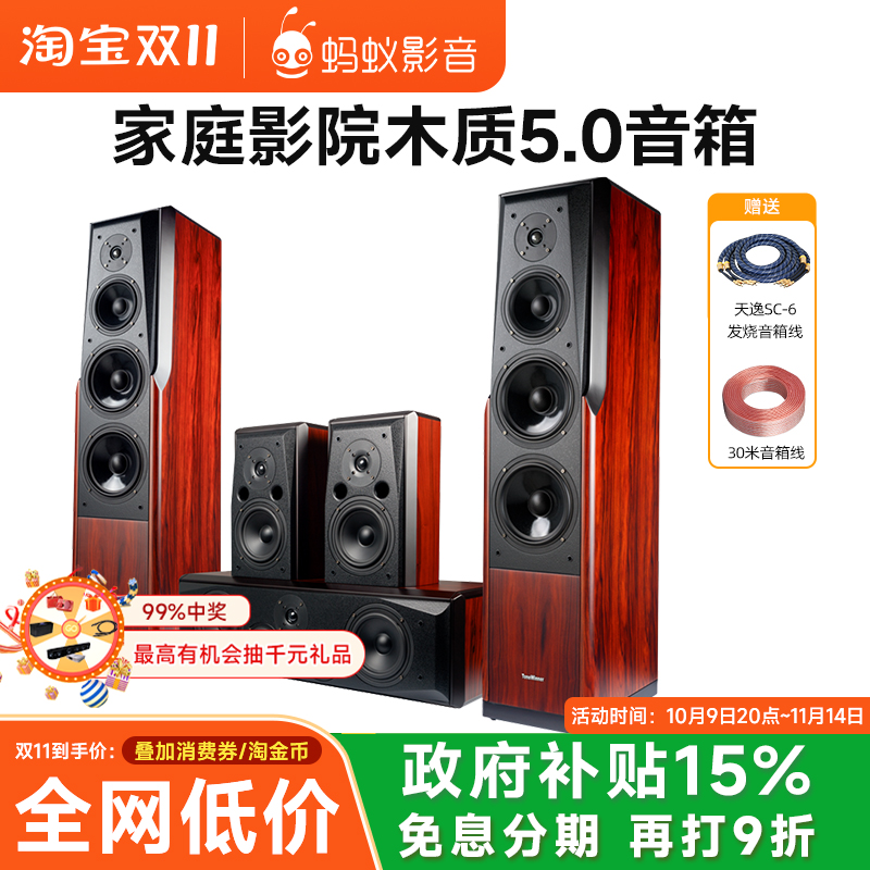 Winner/天逸 童笛八号 TD-8家庭影院音响套5.0装高保真落地木音箱