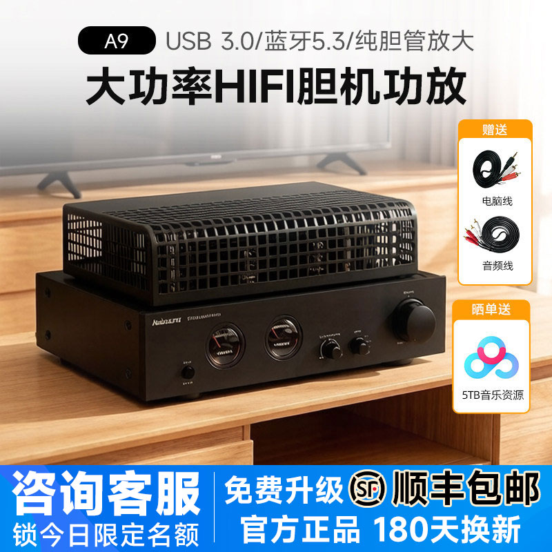 诺普声A9 纯胆机hifi发烧音响电子管立体声功放多功能大功率放