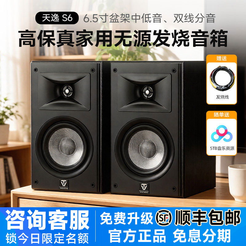 Winner/天逸 童笛S6发烧级6.5寸HIFI桌面无源音箱高保真家用音响