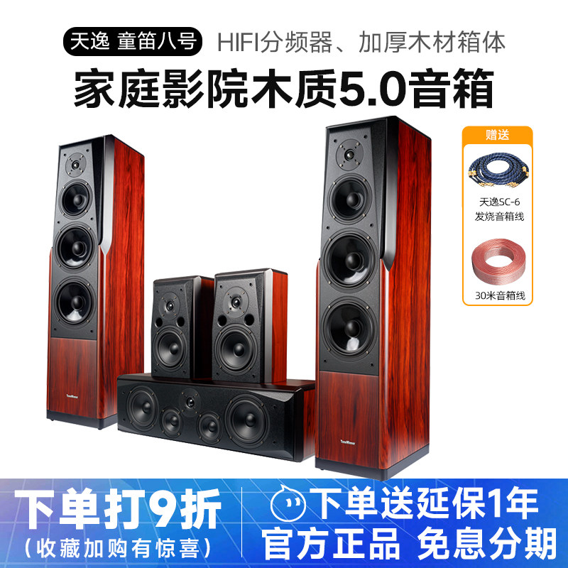 Winner/天逸 童笛八号 TD-8家庭影院音响套5.0装高保真落地木音箱