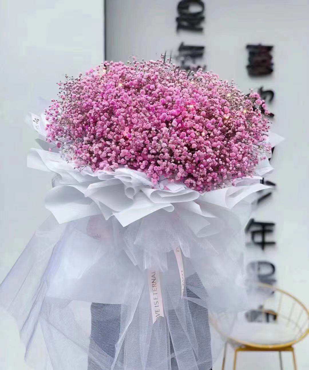 满天星还有什么花,和满天星一样的花,满天星花的种类(第14页)_大山谷图库